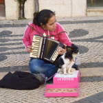 P1070836-w740_h555